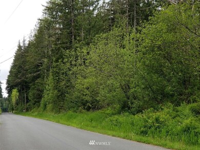 21 xxx Lake Riley Rd, Arlington, WA 98223 - photo 3