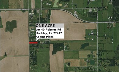 Lot 40 Roberts Rd, Hockley, TX 77447 - photo 4