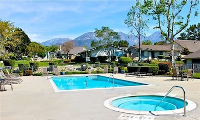 Beautiful pool and spa