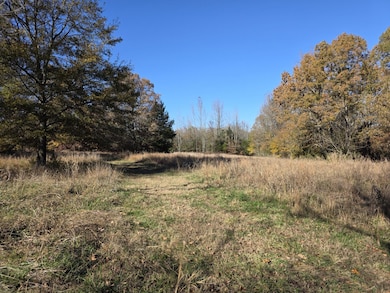 1280 Walnut Grove Rd, Newark, AR 72562 - photo 3