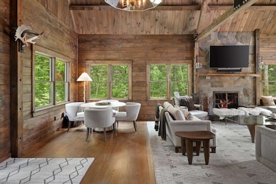 14 Tarheel Trail, Wilmington, VT 05363 - photo 5