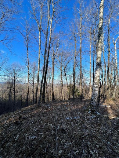 00 Borough Rd, Charlestown, NH 03603 - photo 6