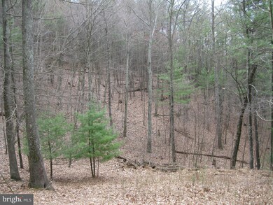 6146 Great Cove Rd, Needmore, PA 17238 - photo 3