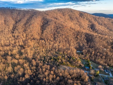 TBD Ridge St, Lovingston, VA 22949 - photo 7