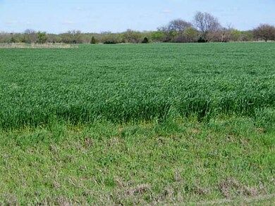 24224 N Meridian Ave, Edmond, OK 73025 - photo 3