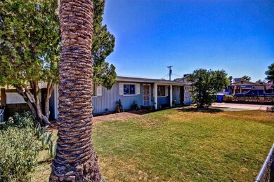 3 - Front yard