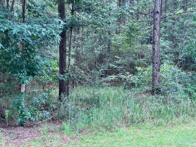 204 Ella Point, Lumberton, MS 39455 - photo 6