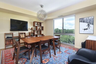 Ten Ten Memorial Drive unit 8E, Cambridge, MA 02138 - photo 4