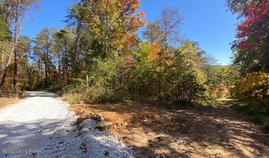 River View Fall2