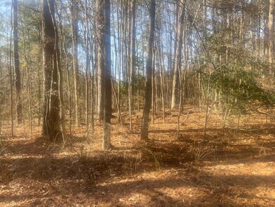 0 Kingsberry Dr, Iuka, MS 38852 - photo 4