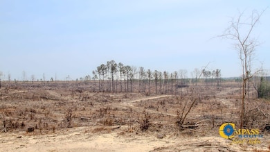 0 N Indian Trail Rd, Sandersville, GA 31082 - photo 4