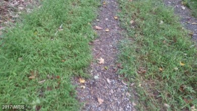 0 Comptons Rd unit 1001180161, Berkeley Springs, WV 25411 - photo 5