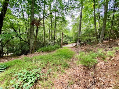 400 Emerald Hills Dr, Pisgah Forest, NC 28768 - photo 5