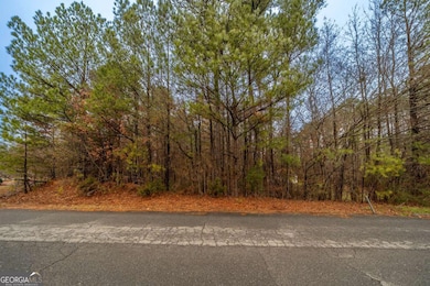 0 Fire Tower Rd NW unit 10655853, Euharlee, GA 30120 - photo 2