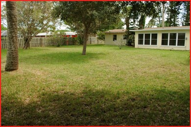 Back Yard Facing East