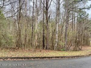 06 Lot 43 Althea Loop