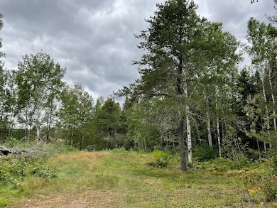 163 Pancore Lake Rd, Tofte, MN 55615 - photo 3