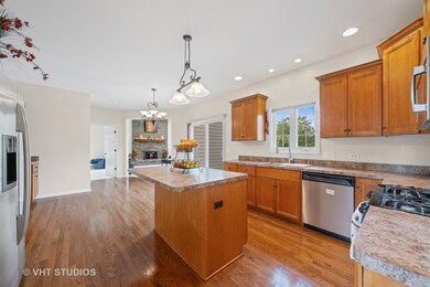 2543 Bangert Ln, Naperville, IL 60564 - photo 7