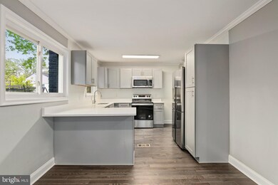 13202 Parkland Dr, Rockville, MD 20853 - photo 4