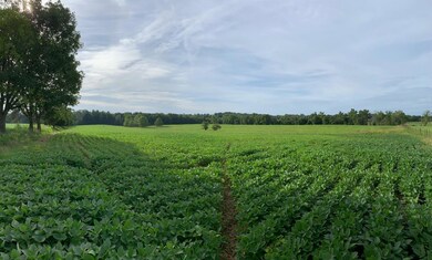 0 Luther Rogers Rd unit 1654849, Tiffin Township, OH 45693 - photo 5