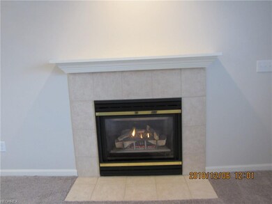 23233 Grist Mill Ct unit 25A, Olmsted Falls, OH 44138 - photo 7