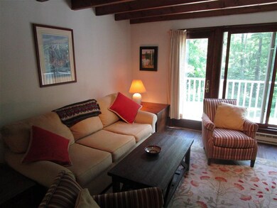 8 Post Oak Rd unit Birch Hill Coop, Winhall, VT 05340 - photo 5