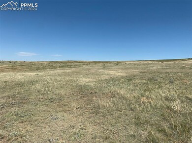 Gentle slope for many build site opportunities