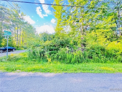 0 Sycamore Ave unit B1623308, Evans, NY 14006 - photo 5