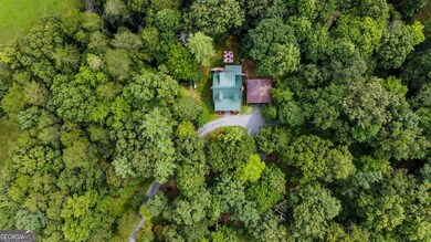 161 Old Dial Rd, Morganton, GA 30560 - photo 6