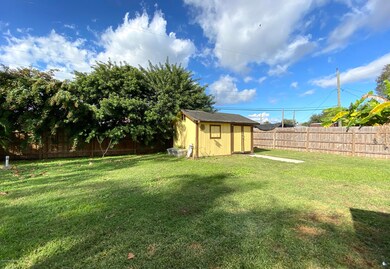 Back yard 1