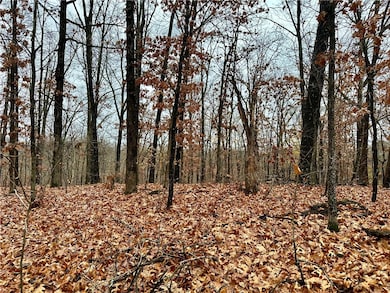 Lot 19 Block 8 Letchworth Dr, Bella Vista, AR 72714 - photo 3