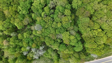 DJI_20250524083626_0652_D