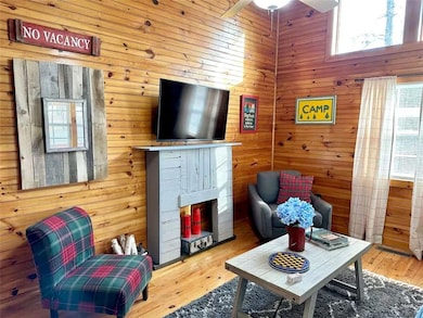 469 Mull Dr, Mineral Bluff, GA 30559 - photo 5