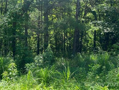 00 F H Justus Rd, Hendersonville, NC 28792 - photo 2