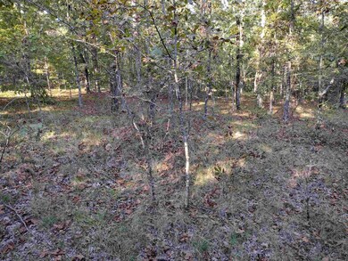 0 Arrowhead Rd, Mountain View, AR 72560 - photo 6