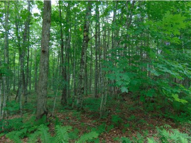 - Sullivan Dr, Stewartstown, NH 03597 - photo 4