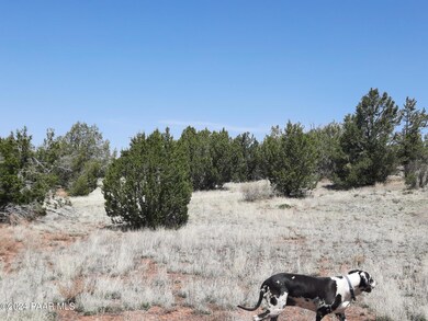 56673 N La Carro Ln, Seligman, AZ 86337 - photo 6