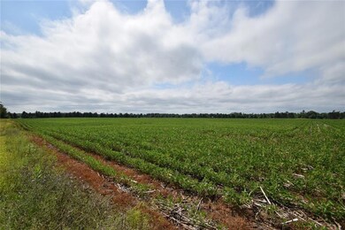 6701 County Road C, Oakland, WI 54830 - photo 2