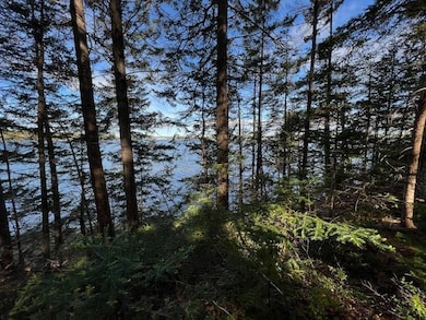Lot #7 Cape Jellison Rd, Stockton Springs, ME 04981 - photo 3