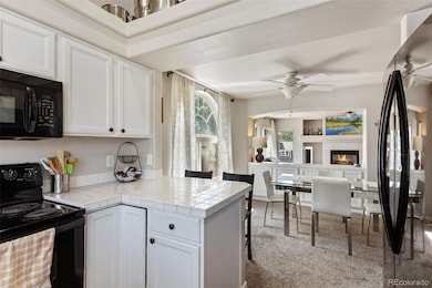 19917 Mitchell Cir, Denver, CO 80249 - photo 7