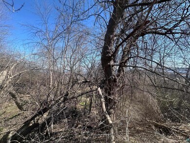 View of local wilderness