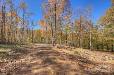 0 Pebble Ridge Rd, Spruce Pine, NC 28777 - photo 3