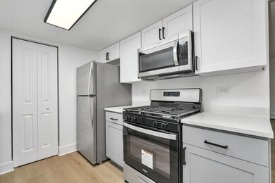 1674 Ishnala Dr unit 204, Naperville, IL 60565 - photo 5