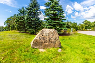 Cotuit Meadows