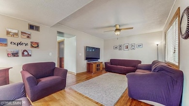 501 2nd St SW, Cannon Falls, MN 55009 - photo 4