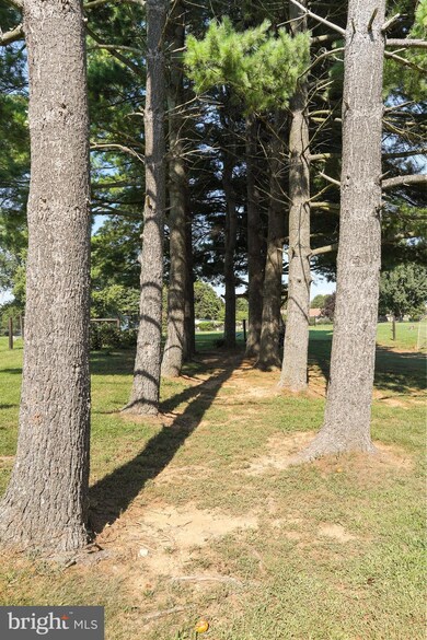 3510 Chick Ln, Knoxville, MD 21758 - photo 6