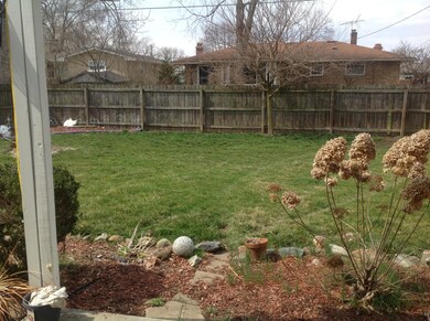 Huge Backyard