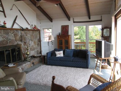 650 Sleepy View Ln, Berkeley Springs, WV 25411 - photo 4