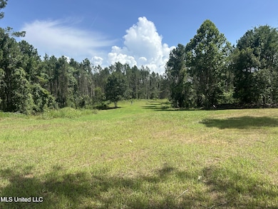 0 Bonds Rd, Roxie, MS 39661 - photo 4