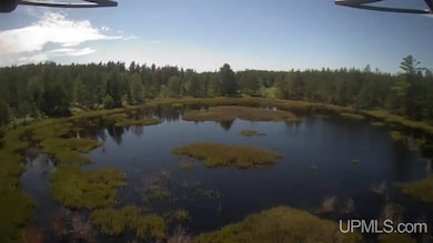 1591 Millyard Rd, Gwinn, MI 49841 - photo 2